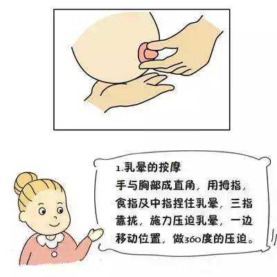 孕期乳房按摩图解(孕期乳房按摩图解视频) 第3张 孕期乳房按摩图解(孕期乳房按摩图解视频) 第3张