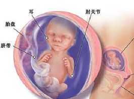 怀孕18周胎儿会缺氧吗（怀孕18周胎儿会缺氧吗）  第2张