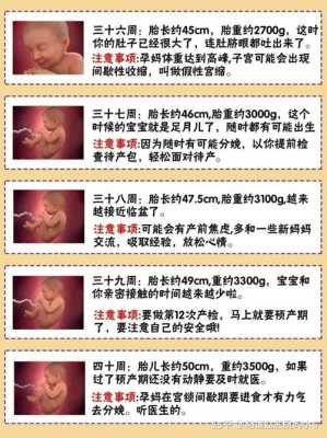 孕35周胎儿出生会怎样的呢?要怎么预防早产的,孕周35周胎儿发育标准数据 第2张 孕35周胎儿出生会怎样的呢?要怎么预防早产的,孕周35周胎儿发育标准数据 第2张
