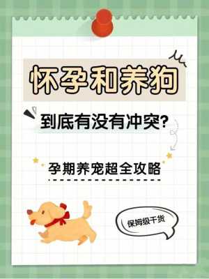 孕期如何养狗(家里有孕妇,可以养狗吗) 第1张 孕期如何养狗(家里有孕妇,可以养狗吗) 第1张