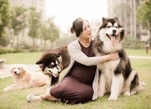 孕期如何养狗(家里有孕妇,可以养狗吗) 第2张 孕期如何养狗(家里有孕妇,可以养狗吗) 第2张