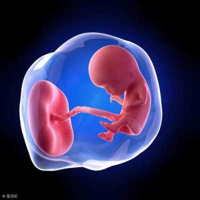 胎儿在肚子里为什么会缺氧(胎儿在肚子里为什么会缺氧的原因) 第2张 胎儿在肚子里为什么会缺氧(胎儿在肚子里为什么会缺氧的原因) 第2张