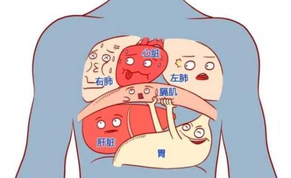 孕32周宝宝打嗝频繁怎么回事,胎儿横膈肌应该什么位置 第1张 孕32周宝宝打嗝频繁怎么回事,胎儿横膈肌应该什么位置 第1张