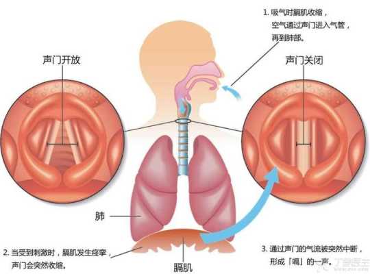 孕32周宝宝打嗝频繁怎么回事,胎儿横膈肌应该什么位置 第2张 孕32周宝宝打嗝频繁怎么回事,胎儿横膈肌应该什么位置 第2张