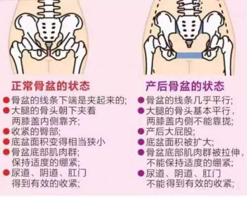 胎儿到耻骨(胎儿到耻骨联合是不是就快生了) 第2张 胎儿到耻骨(胎儿到耻骨联合是不是就快生了) 第2张