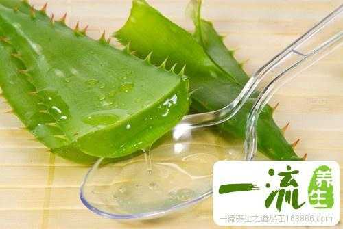 孕期用芦荟胶(备孕期间可以使用芦荟胶吗) 第3张 孕期用芦荟胶(备孕期间可以使用芦荟胶吗) 第3张