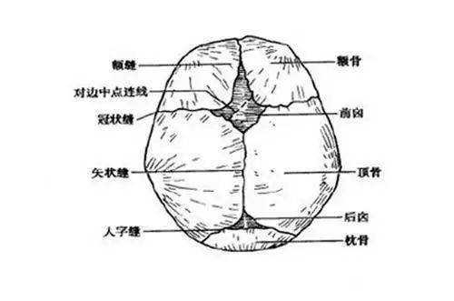 胎儿头骨缝(宝宝后囟未闭颅骨矢状缝什么时侯闭) 第2张 胎儿头骨缝(宝宝后囟未闭颅骨矢状缝什么时侯闭) 第2张