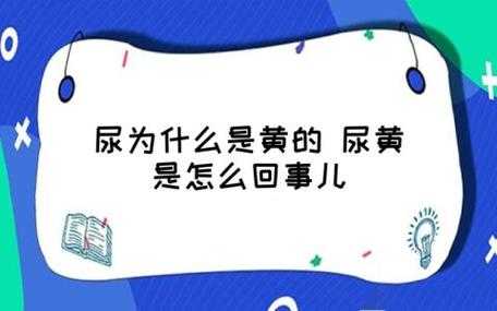为什么孕期尿黄(孕期尿液很黄是怎么回事) 第3张 为什么孕期尿黄(孕期尿液很黄是怎么回事) 第3张