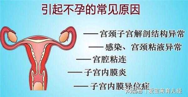怀孕了宫腔粘连怎么办,不知道是重度还是轻度,孕期宫腔黏连带对胎儿有影响吗 第3张 怀孕了宫腔粘连怎么办,不知道是重度还是轻度,孕期宫腔黏连带对胎儿有影响吗 第3张