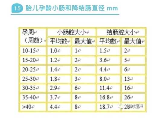 胎儿肠管正常范围(胎儿肠管正常范围是多少) 第1张 胎儿肠管正常范围(胎儿肠管正常范围是多少) 第1张