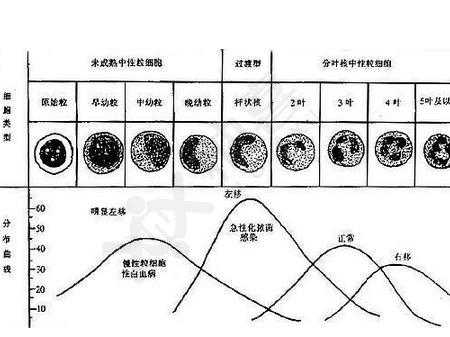 孕期孕酮变化曲线图(孕期孕酮变化曲线图) 第3张 孕期孕酮变化曲线图(孕期孕酮变化曲线图) 第3张