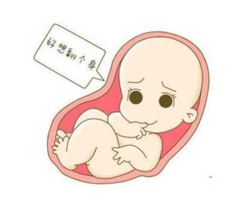 胎儿头围变小(金鱼头朝下是怎么回事) 第1张 胎儿头围变小(金鱼头朝下是怎么回事) 第1张