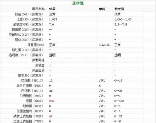 孕期粘液丝偏高的原因(孕妇尿检白细胞、细菌、鳞状上皮细胞偏高) 第2张 孕期粘液丝偏高的原因(孕妇尿检白细胞、细菌、鳞状上皮细胞偏高) 第2张