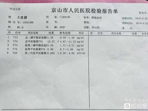 甲功5项的检查意义是什么啊,为什么孕妇要做这样的检查啊,甲功哪一项影响胎儿智力 第1张 甲功5项的检查意义是什么啊,为什么孕妇要做这样的检查啊,甲功哪一项影响胎儿智力 第1张