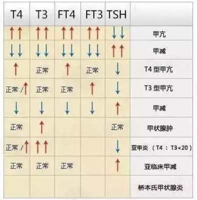 甲功5项的检查意义是什么啊,为什么孕妇要做这样的检查啊,甲功哪一项影响胎儿智力 第2张 甲功5项的检查意义是什么啊,为什么孕妇要做这样的检查啊,甲功哪一项影响胎儿智力 第2张