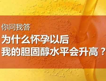 怀孕胆固醇高怎么办,孕期胆固醇高的原因和危害 第2张 怀孕胆固醇高怎么办,孕期胆固醇高的原因和危害 第2张