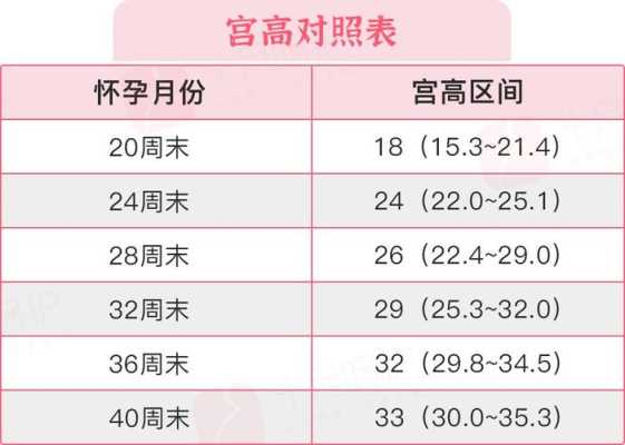 12周胎儿心率多少正常(怀孕12周胎心率173属于正常吗) 第2张 12周胎儿心率多少正常(怀孕12周胎心率173属于正常吗) 第2张