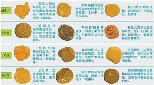 六个多月胎儿图片(6个月小孩一直拉肚子,化验大便正常是怎么回事) 第1张 六个多月胎儿图片(6个月小孩一直拉肚子,化验大便正常是怎么回事) 第1张