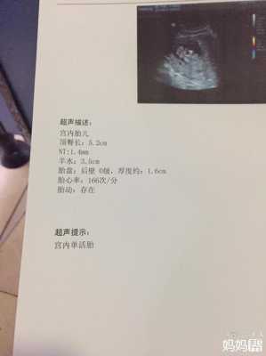 胎儿打嗝就证明没缺氧(胎儿打嗝就证明没缺氧吗) 第1张 胎儿打嗝就证明没缺氧(胎儿打嗝就证明没缺氧吗) 第1张