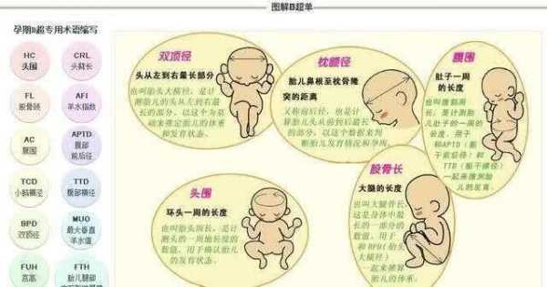 37周胎儿头围偏小(37周胎儿头围偏小有没有什么影响?) 第1张 37周胎儿头围偏小(37周胎儿头围偏小有没有什么影响?) 第1张
