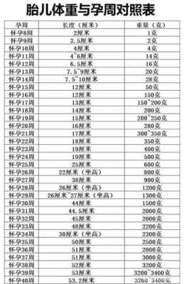 35周胎儿宫高多少(请问35周胎儿有多重?怎么算的呢) 第2张 35周胎儿宫高多少(请问35周胎儿有多重?怎么算的呢) 第2张