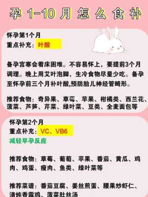 怀孕期间吃什么补品(怀孕期间吃什么补品对胎儿发育好) 第3张 怀孕期间吃什么补品(怀孕期间吃什么补品对胎儿发育好) 第3张
