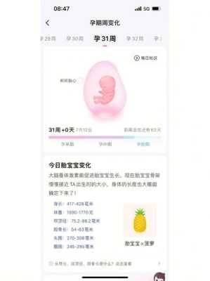 孕期31周是几个月(2021年31周是几月几日) 第2张 孕期31周是几个月(2021年31周是几月几日) 第2张