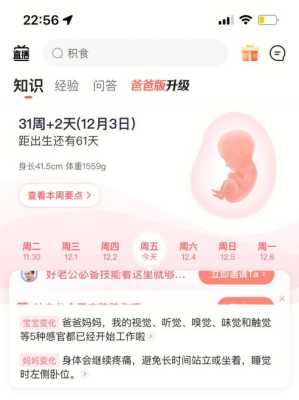孕期31周是几个月(2021年31周是几月几日) 第3张 孕期31周是几个月(2021年31周是几月几日) 第3张