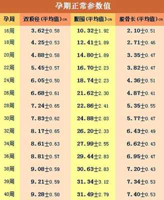 孕期31周是几个月(2021年31周是几月几日) 第1张 孕期31周是几个月(2021年31周是几月几日) 第1张
