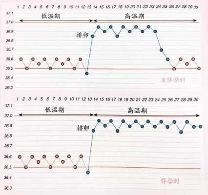 怀孕多久体温会下降?多长时间体温会下降呢,怀孕期间体温变化曲线 第3张 怀孕多久体温会下降?多长时间体温会下降呢,怀孕期间体温变化曲线 第3张
