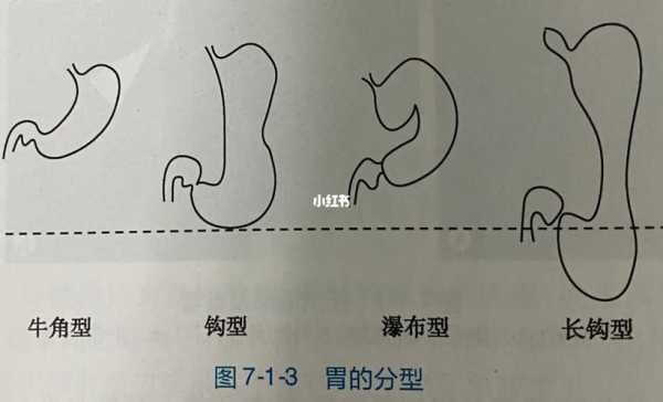胎儿胃泡大孩子能要吗(1.孕32周,胎方位臀部,胃泡位于左侧) 第1张 胎儿胃泡大孩子能要吗(1.孕32周,胎方位臀部,胃泡位于左侧) 第1张