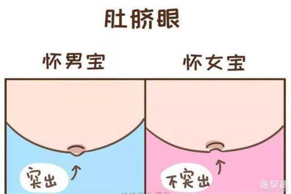孕期一个月反应(孕期一个月反应特别大是男孩女孩) 第2张 孕期一个月反应(孕期一个月反应特别大是男孩女孩) 第2张