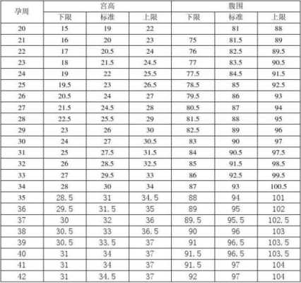 孕期宫高腹围正常值(孕期宫高腹围正常值各为多少) 第3张 孕期宫高腹围正常值(孕期宫高腹围正常值各为多少) 第3张