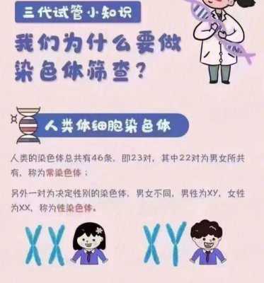 查胎儿染色体有什么用（为什么要做染色体检查）  第1张