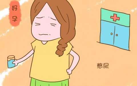 请问肚子里的胎儿自己会憋尿么,胎儿憋尿一般会憋多久呢 第2张 请问肚子里的胎儿自己会憋尿么,胎儿憋尿一般会憋多久呢 第2张