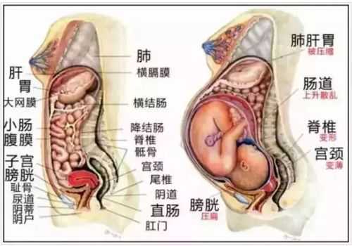 孕妇撞到肚子怎么办,胎儿头部受到撞击 第2张 孕妇撞到肚子怎么办,胎儿头部受到撞击 第2张