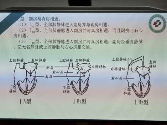 胎儿三心房(胎儿三心房) 第2张 胎儿三心房(胎儿三心房) 第2张