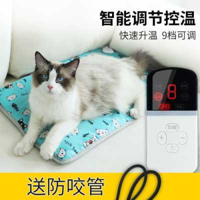 猫咪备孕要准备什么,备孕期间能用电热毯吗? 第2张 猫咪备孕要准备什么,备孕期间能用电热毯吗? 第2张