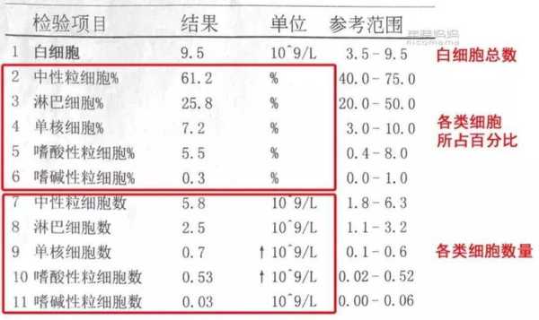 孕期菌血症(孕妇菌血症) 第1张 孕期菌血症(孕妇菌血症) 第1张