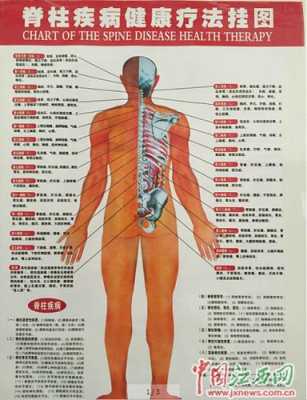 胎儿脊椎低(孕16周B超单显示脊椎骶尾部显示不清,余大致正常?有关系吗) 第2张 胎儿脊椎低(孕16周B超单显示脊椎骶尾部显示不清,余大致正常?有关系吗) 第2张