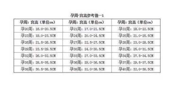孕期子宫高度（孕期子宫高度对照表）  第2张