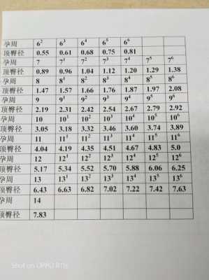 胎儿顶臀经(臀顶长是指什么) 第3张 胎儿顶臀经(臀顶长是指什么) 第3张