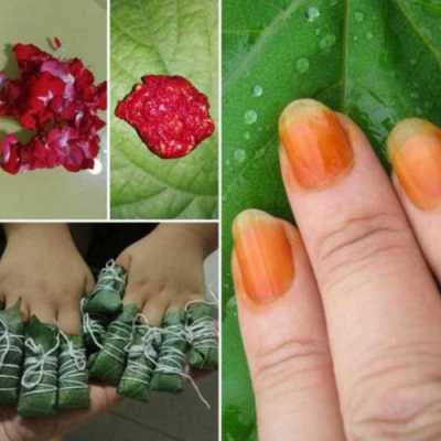 指甲花染指甲正确方法家用,孕期染指甲的危害  第1张