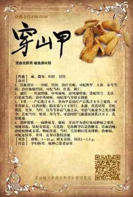 中药对怀孕有影响吗?一直在吃中药调理身体,穿山甲胎儿占母体大 第1张 中药对怀孕有影响吗?一直在吃中药调理身体,穿山甲胎儿占母体大 第1张