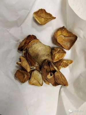 中药对怀孕有影响吗?一直在吃中药调理身体,穿山甲胎儿占母体大 第2张 中药对怀孕有影响吗?一直在吃中药调理身体,穿山甲胎儿占母体大 第2张