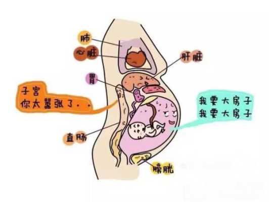 孕期子宫压痛(孕期子宫压痛怎么办) 第1张 孕期子宫压痛(孕期子宫压痛怎么办) 第1张