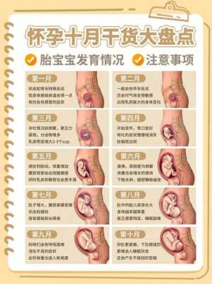 怀孕初期忽冷忽热正常吗,孕期前期反应有哪些症状 第2张 怀孕初期忽冷忽热正常吗,孕期前期反应有哪些症状 第2张