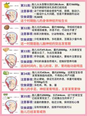 胎儿各周发育情况(孕周40周胎儿发育标准是多少?孕晚期多吃什么对胎儿有好处) 第1张 胎儿各周发育情况(孕周40周胎儿发育标准是多少?孕晚期多吃什么对胎儿有好处) 第1张
