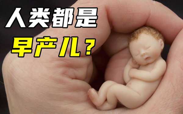 人类幼崽为何比较脆弱,胎儿有那么脆弱吗图片 第1张 人类幼崽为何比较脆弱,胎儿有那么脆弱吗图片 第1张