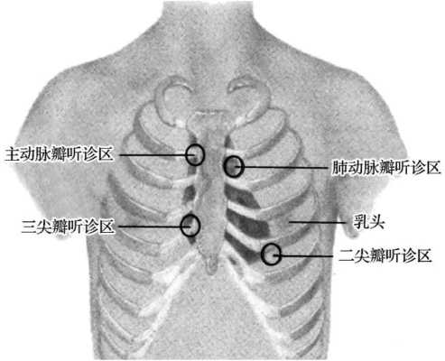 胎儿心音听诊正确的是(胎儿心音听诊正确的是( )) 第3张 胎儿心音听诊正确的是(胎儿心音听诊正确的是( )) 第3张